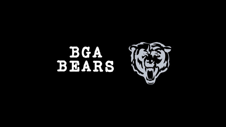 BGA Bears